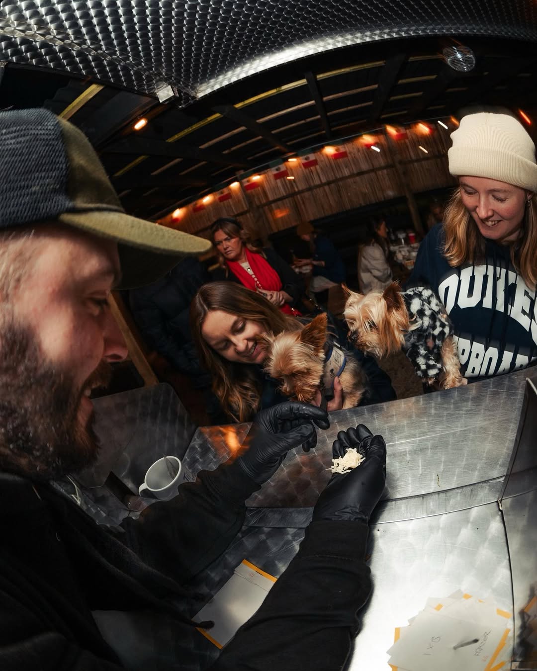 Dogs at the skatepark